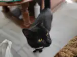 20211130 154528