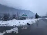 20211225 165400