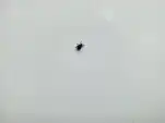 20220524 174617