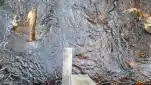 20220514 134638