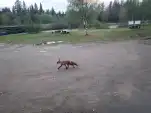 20220603 222201