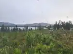 20220717 054025