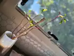20220614 121457