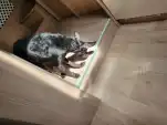 20220503 113749