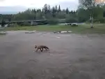 20220603 222202