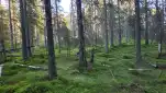 20220605 204659