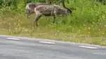 20220710 181033