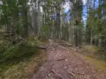 20220515 150647
