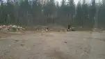20220711 154619