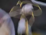 20220524 185715
