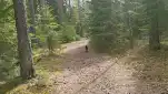 20220510 132821