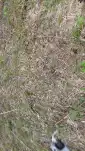 20220524 160652