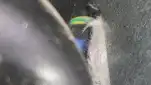 20220717 140359