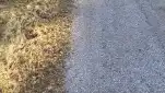 20220514 191811