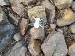 20220524 160618