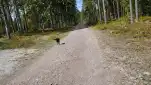 20220514 143524