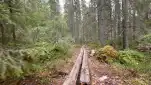 20220527 184519
