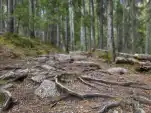 20220515 150704