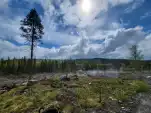 20220601 133534