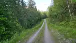 20220613 191908