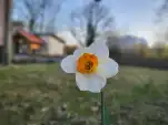 20220419 194154