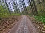 20220421 183458