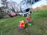20220327 185540