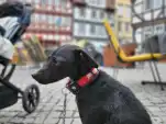 20220414 182942