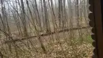 20220410 144353