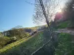 20220419 184912