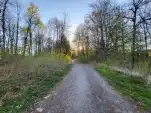 20220419 185336