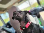 20220427 153817