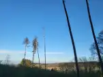 20220419 191736