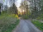 20220419 185329