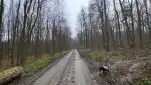 20220410 145814