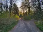 20220419 185405
