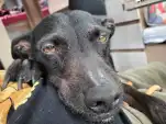 20220405 124238