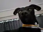 20220810 164200