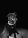 20220904 171156
