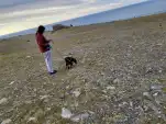 20220806 194512