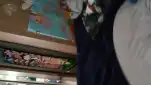 20220725 172910