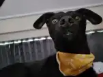 20220810 164223