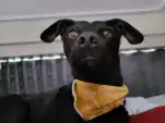 20220810 164227