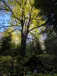 20220925 115652