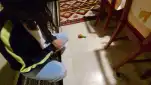20230205 231817