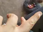 20230415 184334