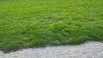20221024 164610