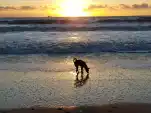 20191217 180029