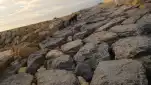 20191212 175351
