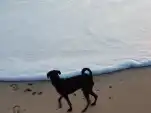 20191217 180315